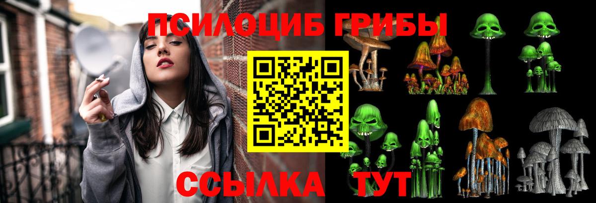 Ивантеевка  Галлюциногенные грибы прущие грибы  Вход с VPN 